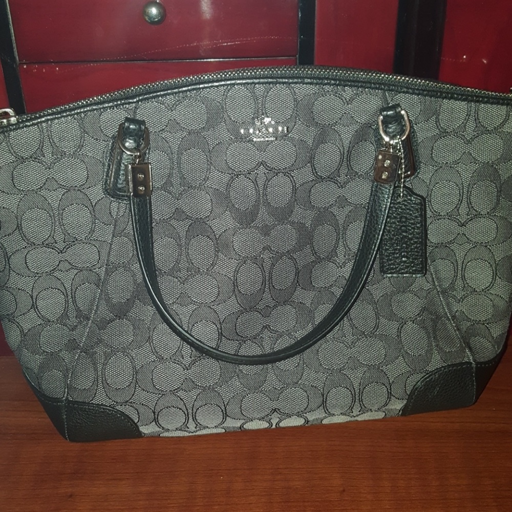 Coach Perfect Little Bag